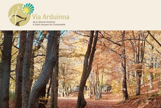 Via Arduinna