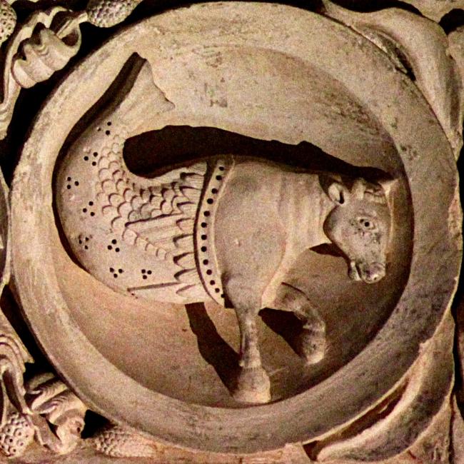 Timpaan - stier