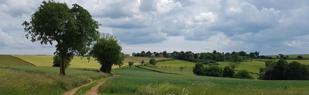Le Chemin, Anthien